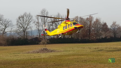 Paura a Portula, 82enne morsicata da un cane: trasportata al Cto di Torino in codice giallo (foto di repertorio)