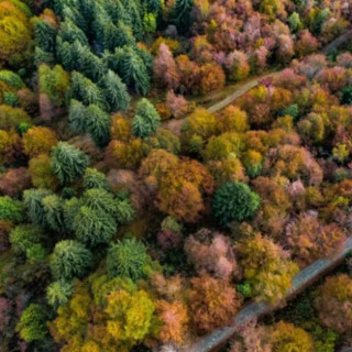 Lo spettacolo del foliage all’Oasi Zegna