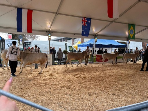 L'istituto agrario Ferraris di Vercelli alla mostra sulla razza piemontese