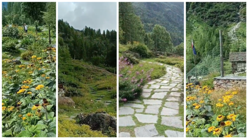 Un'immersione nella natura: al Giardino Botanico di Alagna un anfiteatro naturale.