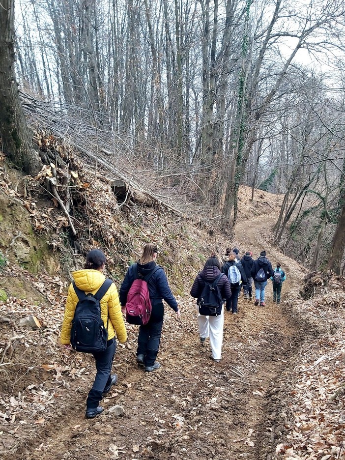 Istituto Bonfantini: lezione sul campo del progetto filiera del legno