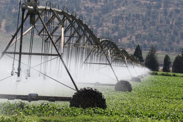 30 milioni per strutture irrigue, agricole e di bonifica: aperto il bando per gli investimenti in Piemonte.