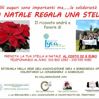 Per Natale regala le stelle di Igea