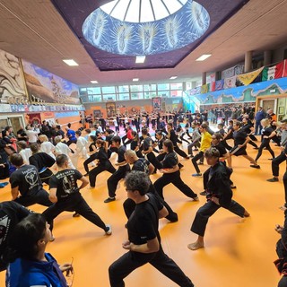 Multistage kung fu a Vercelli