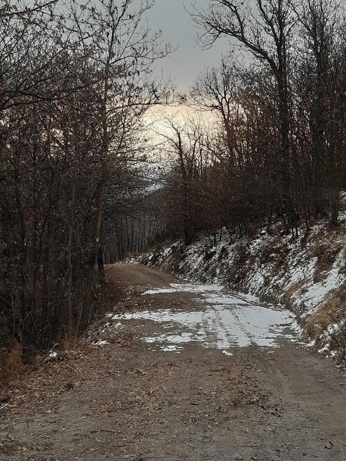 Mezzo milione al Parco del Fenera