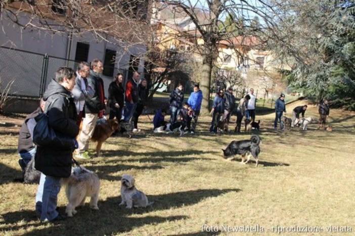 Qua la zampa, il Parco Bau apre le sue porte per una stagione di incontri ed attività (foto di repertorio)