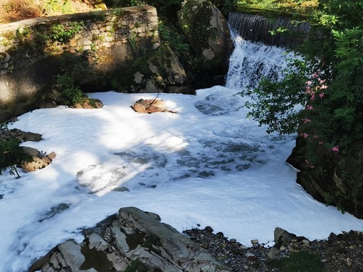 &quot;Schiuma nel torrente Ponzone&quot;, un lettore segnala FOTO