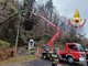 Alberi pericolanti a Baraggiolo, intervengono i vigili del fuoco