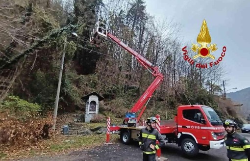 Alberi pericolanti a Baraggiolo, intervengono i vigili del fuoco