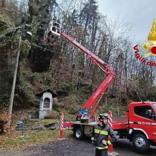 Alberi pericolanti a Baraggiolo, intervengono i vigili del fuoco