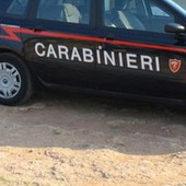 Napoli, cane randagio muore e in 4 picchiano veterinari: arrestati